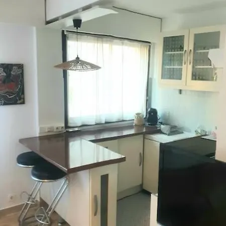 Appartamento Grand Studio Rose Centre Ville-croisette