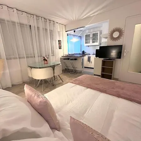 Appartamento Grand Studio Rose Centre Ville-croisette Cannes