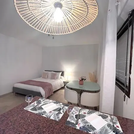 Appartement Grand Studio Rose Centre Ville-croisette