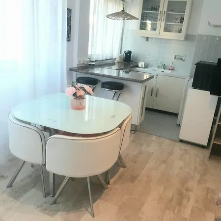 Appartement Grand Studio Rose Centre Ville-croisette *